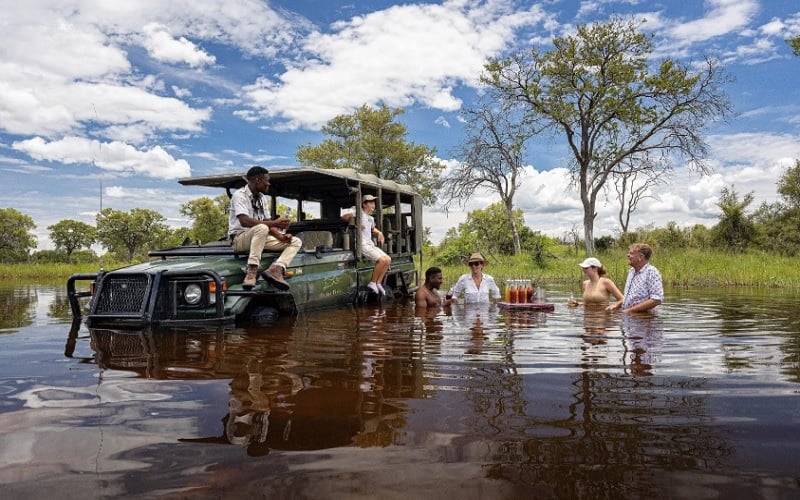 Fly For Free Between Two Iconic Wildernesses Feline Lodges